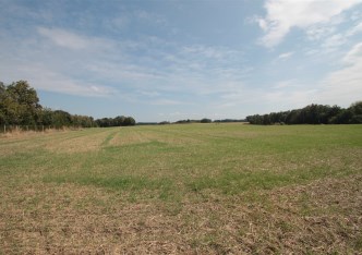 działka na sprzedaż - Wodzisław Śląski, Wilchwy