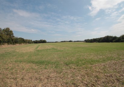 działka na sprzedaż - Wodzisław Śląski, Wilchwy